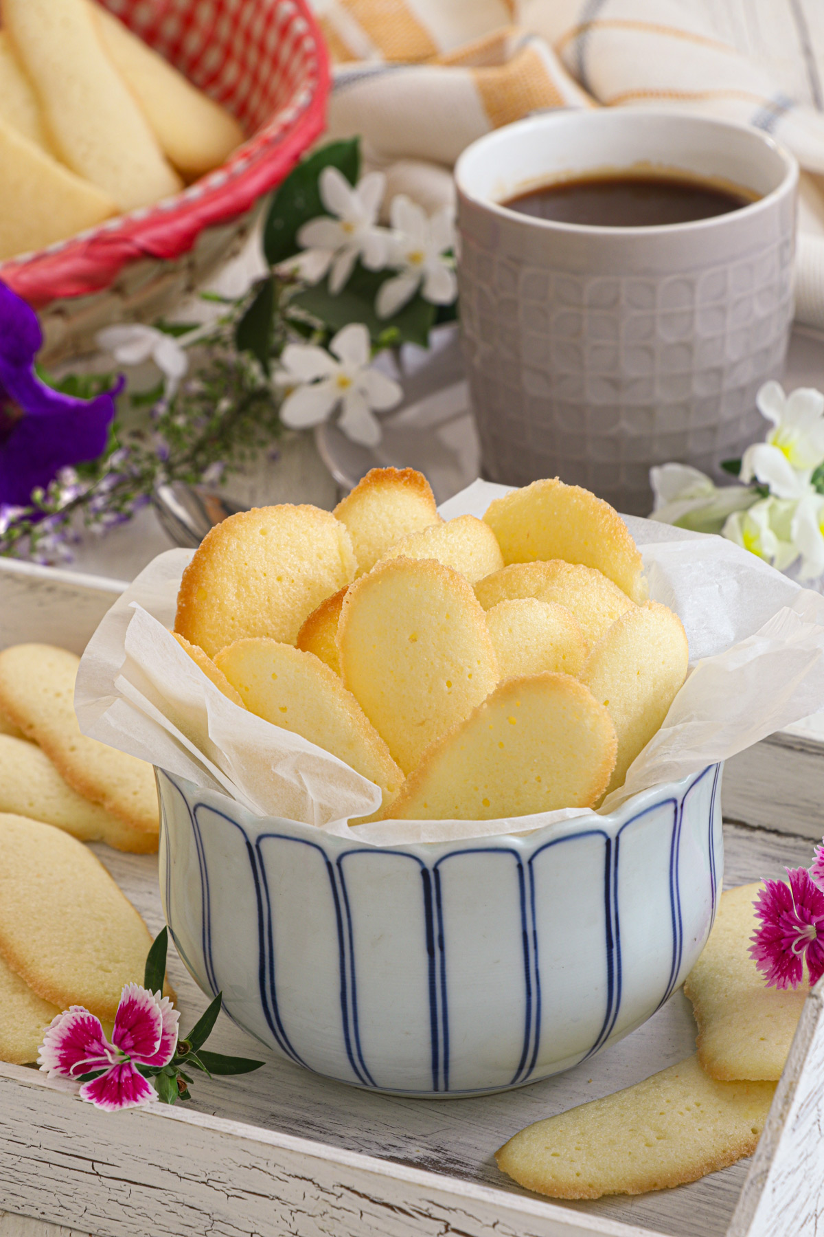 Lengua de Gato
